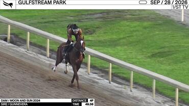 An Unnamed Horse out of the Dam Moon and Sun Worked 4 Furlongs in 49.38 at Gulfstream Park on September 28th, 2026