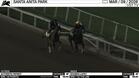 Authentic Patriot (Outside) and Sounds Lucky Worked 4 Furlongs in 49.40 at Santa Anita Park on March 9th, 2026