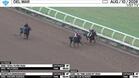 An Unnamed Horse out of the Dam Soul Flyer (Outside), Marvelousmissmabel (Middle) and Scarlet Ribbons Worked 4 Furlongs at Del Mar on August 10th, 2026