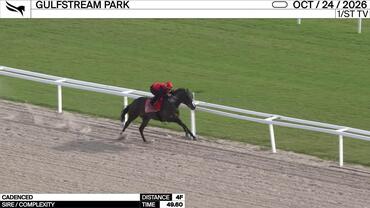 Cadenced Worked 4 Furlongs in 49.60 at Gulfstream Park on October 24th, 2026