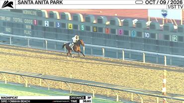 Magnificat Worked 3 Furlongs in 36.60 at Santa Anita Park on October 9th, 2026