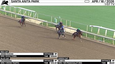 Angel's Echo (Red Cap), Crossanna (Blue Cap) and We Can (Green Cap) Worked at Santa Anita Park on April 16th, 2026