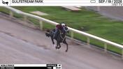 Noble Prince Worked 4 Furlongs at Gulfstream Park on September 19th, 2026