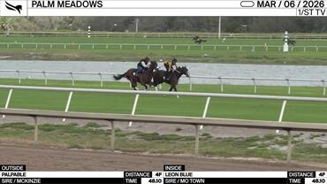 Palpable (Outside) and Leon Blue Worked 4 Furlongs in 48.10 at Palm Meadows on March 6th, 2026