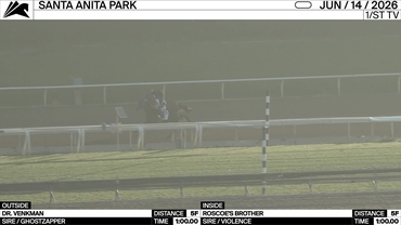 Dr. Venkman (Ghostzapper)(OUT)_Roscoe's Brother (Violence)(IN)_Mark Glatt_SA_260614