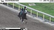 Proud Mary Worked 4 Furlongs in 50.31 at Gulfstream Park on January 15th, 2026