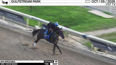 Not Applicable Worked 3 Furlongs in 36.57 at Gulfstream Park on October 5th, 2026