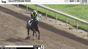 Chizzy Worked 4 Furlongs in 51.87 at Gulfstream Park on May 29th, 2026