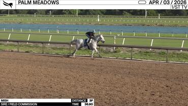 Mish Worked 3 Furlongs in 36.90 at Palm Meadows on April 3rd, 2026
