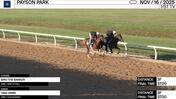 Bird the Banker (Outside) and Take Arms Worked 3 Furlongs in 37.00 at Payson Park on November 16th, 2025