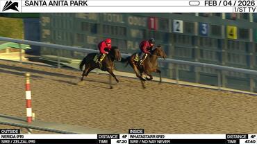 Nerida (Outside) and Whatastarr Worked 4 Furlongs at Santa Anita Park on February 4th, 2026