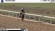 Velvet Vortex Worked 4 Furlongs in 49.80 at Payson Park on March 7th, 2026