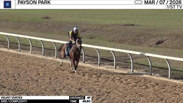 Velvet Vortex Worked 4 Furlongs in 49.80 at Payson Park on March 7th, 2026