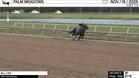 All I Do Worked 3 Furlongs in 37.75 at Palm Meadows on November 15th, 2025