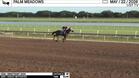 Severely Overpayin Worked 4 Furlongs in 51.05 at Palm Meadows on May 22nd, 2026
