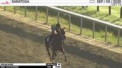 Dream More Worked 3 Furlongs in 37.55 at Saratoga on September 5th, 2026