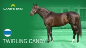 Scipio (Caravaggio)(OUT)_Friendly Confines (Twirling Candy - Lane's End)(IN)_Richard Baltas_SA_260413