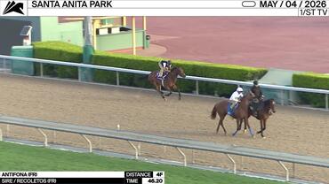 Antifona Worked 4 Furlongs in 46.20 at Santa Anita Park on May 4th, 2026