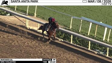 Iron Man Cal Worked 5 Furlongs in 1:01.20 at Santa Anita Park on March 8th, 2026