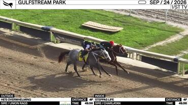 He's Overwhelming (Outside) and Steppas Life Worked 4 Furlongs in 49.56 at Gulfstream Park on September 24th, 2026