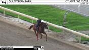 Fast Destination Worked 4 Furlongs in 49.49 at Gulfstream Park on October 5th, 2026