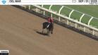Tamara Galloped at Del Mar on September 1st, 2025