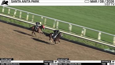 Bartholdy (Yellow Cap) and Yellow Card Worked at Santa Anita Park on March 8th, 2026