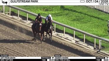 Gift From Above (Outside) and Mabie's Tavern Worked 4 Furlongs in 49.55 at Gulfstream Park on October 4th, 2026
