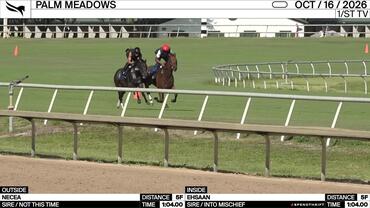 Necea (Outside) and Ehsaan Worked 5 Furlongs in 1:04.00 at Palm Meadows on October 16th, 2026