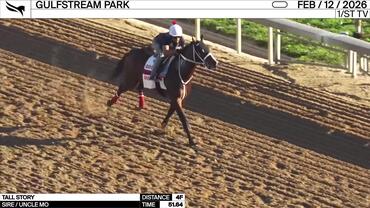 Tall Story Worked 4 Furlongs in 51.64 at Gulfstream Park on February 12th, 2026