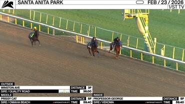 Winston Ave (Outside), Prissy Cat (Middle) and Professor George Worked at Santa Anita Park on February 23rd, 2026
