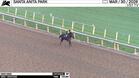 High King Worked 5 Furlongs in 1:01.80 at Santa Anita Park on March 30th, 2026