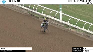 Brant Worked 4 Furlongs in 48.80 at Del Mar on August 16th, 2025