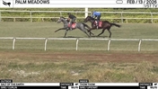 Salt of the Earth (Outside) and Thom Thom Worked 4 Furlongs in 50.70 at Palm Meadows on February 13th, 2026