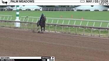 Bar Down Worked 3 Furlongs in 38.95 at Palm Meadows on May 3rd, 2026