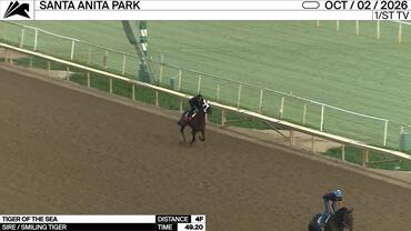 Tiger of the Sea Worked 4 Furlongs in 49.20 at Santa Anita Park on October 2nd, 2026