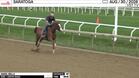 Angel Bella Worked 4 Furlongs in 49.15 at Saratoga on August 30th, 2026
