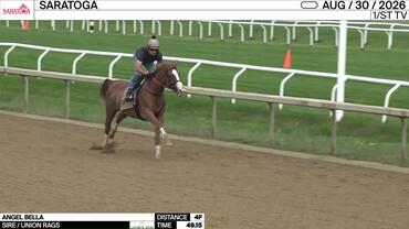 Angel Bella Worked 4 Furlongs in 49.15 at Saratoga on August 30th, 2026