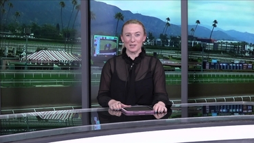 Preview of race 7 The Triple Bend Stakes on May 31st, 2026