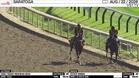 Livid (Outside) and Stock Rising Worked 4 Furlongs in 49.00 at Saratoga on August 22nd, 2026