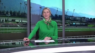 Preview of The San Marcos Stakes on Feb 14th 2026