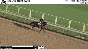 Burning Rubber Worked 4 Furlongs in 50.60 at Santa Anita Park on February 14th, 2026