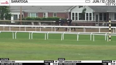 Moonmate (IRE)(Lope de Vega (IRE))(OUT)_Dam - Amniarix 2024 (GB) (Kingman (GB))(IN)_Chad Brown_SAR_260612