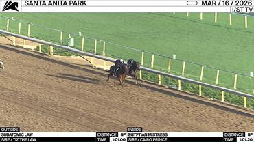 Subatomic Law (Outside) and Egyptian Mistress Worked 5 Furlongs at Santa Anita Park on March 16th, 2026