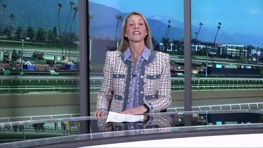 Preview of The Fountain of Youth Stakes on Feb 28th 2026