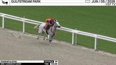 Starship Elation Worked 5 Furlongs in 1:02.68 at Gulfstream Park on June 5th, 2026