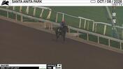 Saucier Worked 4 Furlongs in 48.80 at Santa Anita Park on October 8th, 2026
