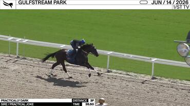 Practically Dark Worked 3 Furlongs in 35.50 at Gulfstream Park on June 14th, 2026
