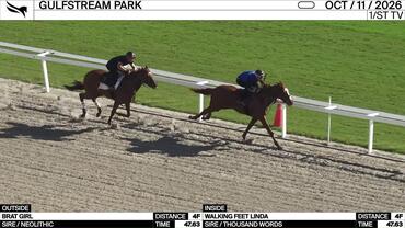 Brat Girl (Outside) and Walking Feet Linda Worked 4 Furlongs in 47.63 at Gulfstream Park on October 11th, 2026