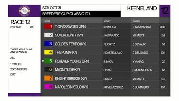 Preview of race 10 The The Breeders' Cup Classic on Oct 31st, 2026